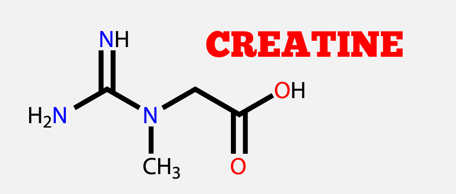 Creatine 101 – The Facts About Creatine