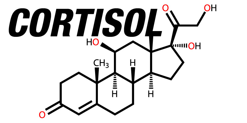 How Cortisol Can Limit Your Gains