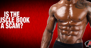 Is the Muscle Book a scam?