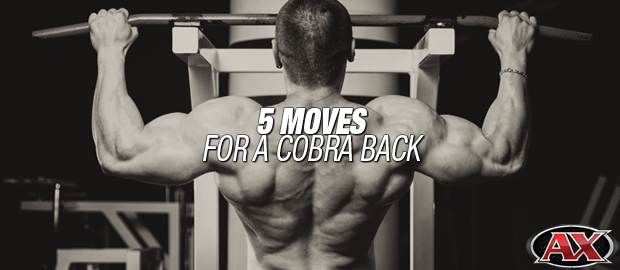 5 Moves For A Cobra Back