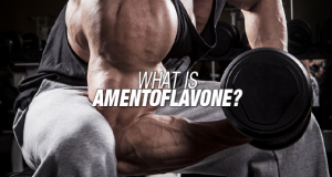 What is amentoflavone?
